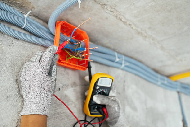 Best Circuit Breaker Repair  in Wray, CO